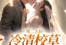 已完结小说《男二上位:冷清校草我不要了》在线章节阅读-红梅文学