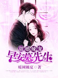 在线免费阅读甜婚辣宠：早安，慕先生完整小说
