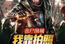 李伶嵩小说丧尸围城,我靠拍照解锁无敌技能章节免费阅读-红梅文学