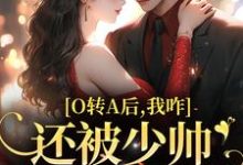 O转A后,我咋还被少帅强取豪夺了小说完结了吗?在哪里可以免费读到?-红梅文学