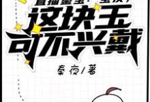直播鉴宝:宝友,这块玉可不兴戴小说,直播鉴宝:宝友,这块玉可不兴戴免费阅读-红梅文学