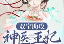 双宝助攻:神医王妃太难追免费阅读,双宝助攻:神医王妃太难追章节在线阅读-红梅文学