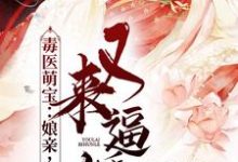 已完结小说《毒医萌宝:娘亲,父皇又来逼婚了》章节在线阅读-红梅文学