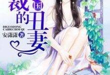 帝国总裁的丑妻小说，帝国总裁的丑妻 蓝七七江霄云-红梅文学