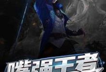 完结版《嘴强王者的重生之路》在线免费阅读-红梅文学
