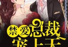 禁爱总裁宠上天陌西染周延琛桃文白井城小说免费阅读-红梅文学