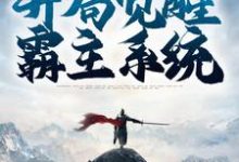 寻找魂穿三国,开局觉醒霸主系统小说的最新更新章节-红梅文学