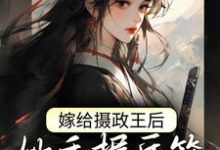 嫁给摄政王后,她手握兵符颠覆朝纲小说无弹窗阅读的网站推荐-红梅文学