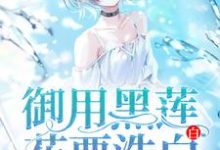 完结版《御用黑莲花要洗白白》章节目录在线阅读-红梅文学