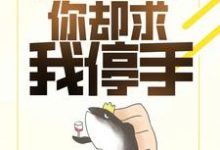楚遗风小说叫什么(我靠作品续命,你却求我停手?免费阅读)-红梅文学