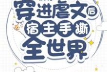 快穿:穿进虐文后宿主手撕全世界小说最新更新在哪里?免费在线看-红梅文学
