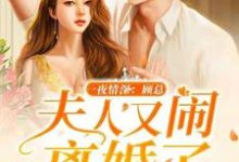 一夜情深:顾总,夫人又闹离婚了夏浅浅顾煜轩,一夜情深:顾总,夫人又闹离婚了小说免费阅读-红梅文学
