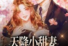 天降小甜妻:偏执大佬抱着哄徐蓁沈凌风,天降小甜妻:偏执大佬抱着哄小说免费阅读-红梅文学