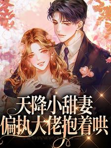 天降小甜妻：偏执大佬抱着哄徐蓁沈凌风，天降小甜妻：偏执大佬抱着哄小说免费阅读