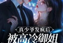 真少爷发疯后,被高冷御姐拖回家小说完结版章节免费阅读-红梅文学