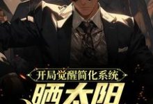 开局觉醒简化系统,晒太阳就能变强这本小说完结了吗?免费查看最新章节-红梅文学