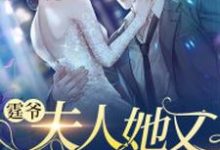 哪里可以免费找到霆爷,夫人她又轰动全城了?-红梅文学