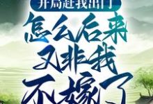 开局赶我出门,怎么后来又非我不嫁了?这本小说怎么样?免费在线阅读试试-红梅文学