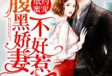 已完结小说《纸约蜜宠:腹黑娇妻不好惹》章节在线阅读-红梅文学