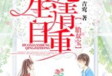 小说《一胎双宝,霍先生请自重》章节免费阅读-红梅文学