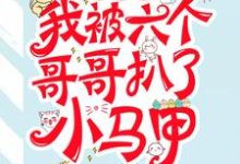 团宠后,我被六个哥哥扒了小马甲小说全文阅读需要付费吗?寻找免费资源-红梅文学