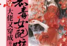 顾璃璃小说快穿:大佬又穿成恶毒女配啦!在线阅读章节-红梅文学