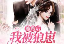 逃跑后,我被狼崽影帝反扑了章节免费在线阅读,季宪扬秦曼真完结版-红梅文学