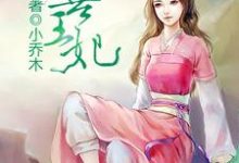 病王的冲喜王妃小说,病王的冲喜王妃章节在线阅读-红梅文学