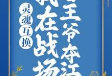 小说《灵魂互换:我在战场替王爷夺江山》在线章节阅读-红梅文学