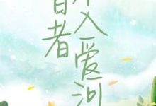 智者不入爱河小说,智者不入爱河陈念徐晏清-红梅文学