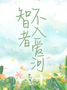 智者不入爱河小说，智者不入爱河陈念徐晏清