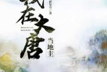 我在大唐当地主薛平陈雨凝,我在大唐当地主小说免费阅读-红梅文学