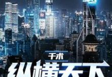 求千术:纵横天下小说的全文免费阅读链接-红梅文学