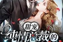 免费在线阅读甜宠:纯情总裁的野蛮小娇妻小说的正规网站有哪些?-红梅文学