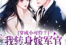 完结版《穿成小可怜?我转身嫁军官好孕连连》免费阅读-红梅文学