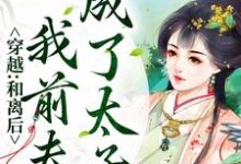 穿越:和离后,我前夫成了太子?韩月欣楚安北小说免费阅读-红梅文学