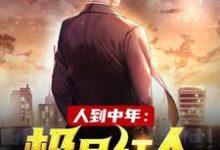 人到中年:极品红人这本小说完结了吗?免费查看最新章节-红梅文学