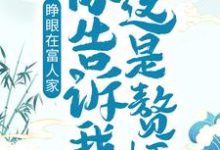 小说《睁眼在富人家,你告诉我这是赘婿?》章节免费阅读-红梅文学
