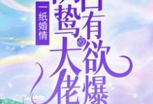 哪里可以免费找到一纸婚情:阴鸷大佬占有欲爆表?-红梅文学