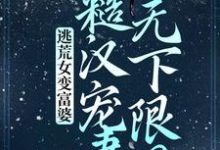 逃荒女变富婆:糙汉宠妻无下限?苏晚晚沈渊,逃荒女变富婆:糙汉宠妻无下限?小说免费阅读-红梅文学
