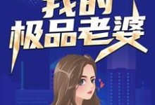 完结版《我的极品老婆》在线免费阅读-红梅文学