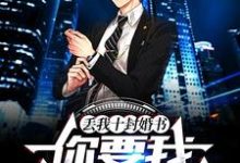 求推荐可以免费阅读丢我十封婚书,你要我斩断尘缘?小说的网站-红梅文学