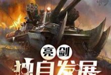 免费在线阅读亮剑:独自发展,开局连升十级小说的正规网站有哪些?-红梅文学