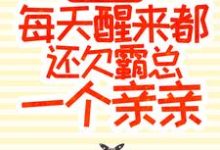 求甜宠成婚:每天醒来都还欠霸总一个亲亲小说免费资源-红梅文学