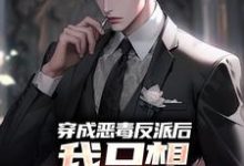 穿成恶毒反派后,我只想离婚保平安(祝天凡冷冰凝)在线免费阅读-红梅文学