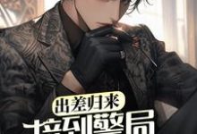 完结版《出差归来,接到警局电话赎老婆》章节阅读-红梅文学