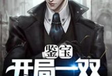 鉴宝:开局一双黄金瞳小说的免费阅读版本在哪里可以找到?-红梅文学