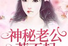 神秘老公惹不起罗熙顾行深,神秘老公惹不起小说免费阅读-红梅文学
