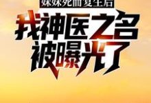 妹妹死而复生后,我神医之名被曝光了林漠许半夏,妹妹死而复生后,我神医之名被曝光了最新章节-红梅文学