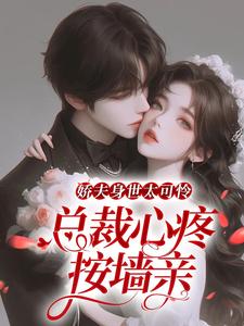 《娇夫身世太可怜，总裁心疼按墙亲》小说章节列表免费试读，沐清歌叶南星小说在线阅读